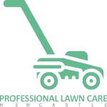 Professional Lawn Care Newcastle