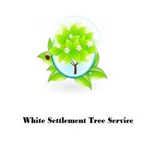 White Settlement Tree Service