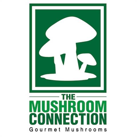 The Mushroom Connection