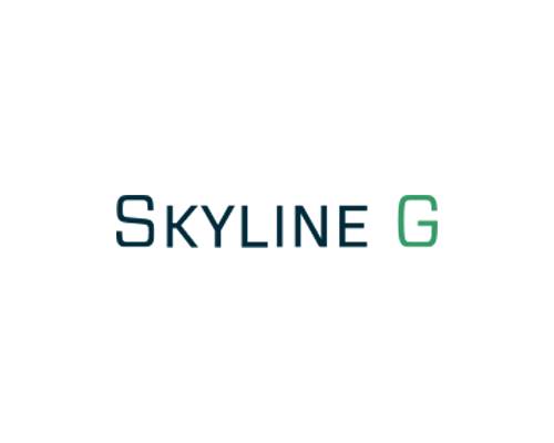 Skyline G - Executive Coaching & Leadership Development