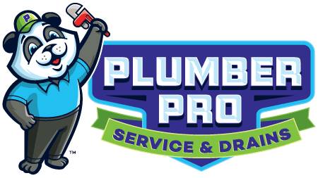 Gwinnett Plumber Pro Service